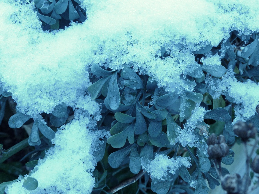 Rue sous son manteau de neige
